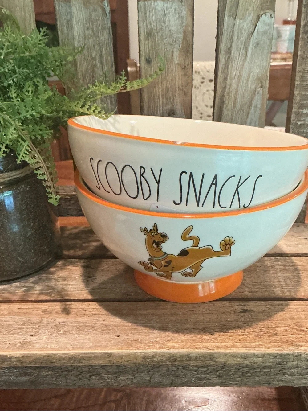 Rae Dunn Scooby Doo SCOOBY SNACKS Bowls - Set of 2